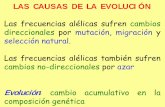 LAS CAUSAS DE LA EVOLUCIÓNdocencia.udea.edu.co/cen/mecanismos-evolucion/pdf_files/... · 2004-05-07 · LAS CAUSAS DE LA EVOLUCIÓN Las frecuencias alélicas sufren cambios direccionales