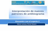 Interpretación de nuevos patrones de antibiograma · 2014-05-13 · Interpretación de nuevos patrones de antibiograma Nieves Larrosa y Ferran Navarro Encuentro con el experto 2