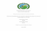 Tesis para optar por el grado de licenciatura en Derechoiij.ucr.ac.cr/.../Tesis-definitiva-para-empaste-de-lujo.pdf · 2019-06-29 · débiles dentro de la normativa actual y con