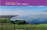 C4 Gestión del agua Atlas del Agua - Chile 2016 …...C4 Gestión del agua Atlas del Agua - Chile 2016 108 Tabla 4.5. Caudal otorgado de derechos superficiales consuntivos en función