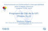 Programa C&I Programa de C&I de la UIT: Pilares 3 y 4...Entrenamiento en Conformidad e Interoperabilidad para la Región Americas Campinas, 27/06 - 01/07 Programa de C&I de la UIT: