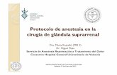 Protocolo de anestesia en la cirugía de glándula suprarrenalchguv.san.gva.es/docro/hgu/document_library... · • Hiperaldosteronismo primario: tumor corticosuprarrenal productor