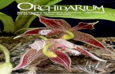 Orchidar ium - Orquimaniaco.esorquimaniaco.es/wp-content/uploads/2015/07/orchidarium...4 Orchidarium quieran iniciarse en el cultivo de las orquideas o aumentar sus colecciones. En