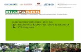 Características de la ganadería bovina del Estado de Chiapas · predominantes en Chiapas y usos de suelo, se podrá encontrar en qué zonas, regiones y municipios se llevan a cabo