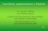Fasciolosis, esquistosomosis y filariosis³rico 10 Fasciola, Schistosoma y...Ciclo de transmisión depende de la distribución del hospedero ... Existen condiciones ecológicas (población