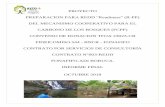DEL MECANISMO COOPERATIVO PARA EL CARBONO DE LOS …reddcr.go.cr/sites/default/files/centro-de-documentacion/... · 2018-12-03 · de amojonamiento y saneamiento del territorio respetando