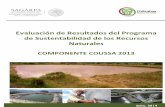 Evaluación de Resultados del Programa de Sustentabilidad ...Evaluación de Resultados del Programa de Sustentabilidad de los Recursos Naturales Componente COUSSA 2013 en el estado