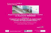 Regeneración Urbana y Cohesión Social en …...Regeneración urbana y cohesión social en Andalucía (RUCOSA) Informe 3 El impacto de los proyectos de regeneración urbana: del contexto