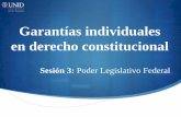 Garantías individuales en derecho constitucional · encontramos en la representación del Virreinato de la Nueva España, en las Cortes de Cádiz, y en la asamblea constituyente