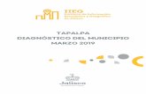 TAPALPA DIAGNÓSTICO DEL MUNICIPIO MARZO 2019Los indicadores de este índice señalan que particularmente en Tapalpa el 4.96 por ciento de las viviendas del municipio se recibieron