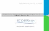 MINISTERIO DE SALUD DE EL SALVADORasp.salud.gob.sv/regulacion/pdf/lineamientos/... · 2014-11-05 · I. INTRODUCCIÓN. La fiebre chikunguña, en adelante chik, es una enfermedad emergente