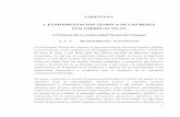 CAPITULO I 1. FUNDAMENTACION TEORICA DE LAS REDES ...repositorio.utc.edu.ec/bitstream/27000/1850/1/T-UTC-1341.pdf · 1. FUNDAMENTACION TEORICA DE LAS REDES INALAMBRICAS WLAN 1.1 Entorno