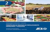 FACILITACIÓN DE PROCESOS DE FORTALECIMIENTO …guiagronicaragua.com/wp-content/uploads/2018/11/Manual-2.pdf · 2019-07-06 · fortalecimiento empresarial y asociativo y consta de