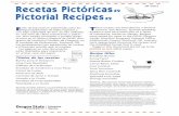 Recetas pictóricas / Pictorial recipesE. stas recetas fueron preparadas para los hispanoparlantes de bajos ingresos y con baja capacidad de leer. Se han utilizado en una serie de
