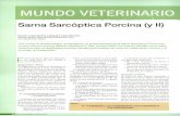 Sarna Sarcóptica Porcina (y II)xisten distintos tipos de diagnósti-co, cada uno con sus ventajas e inconvenientes. Diagnóstico clínico El diagnóstico se basa en el examen in situ