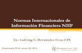 Normas Internacionales de Información Financiera NIIFNIIF 6 Exploración y Evaluación de Recursos Minerales Los activos para exploración y evaluación son los desembolsos relacionados