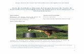 Manual de Buenas Prácticas de EAZA para Demostraciones con ... · Grupo Asesor de Taxón de Falconiformes y Estrigiformes de EAZA 4 Contenido Introducción 1) Diseño de aviarios