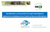 Identificación y conservación de hongos fitopatógenos, siguiendo los estándares de ...sef.es/sites/default/files/inline-files/Laura Lopez Cons... · 2019-01-17 · Procedimiento