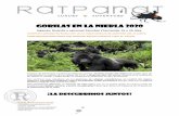 Gorilas en la Niebla 2020 - RATPANATNuestras rutas se implican en proyectos de conservación de la naturaleza, recuperación de especies en ... de 200 mariposas y 360 aves habitan