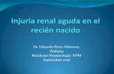Dr. Eduardo Pérez Albornoz. Pediatra Residente ... · Disminución producción urinaria (diuresis < 0,5ml/kg/hr) Acute Kidney Injury in the Neonate. Clin Perinatol - (2014) AKI is