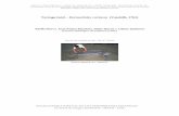 Tortuga laúd – Dermochelys coriacea (Vandelli, 1761)digital.csic.es/bitstream/10261/108650/1/dercor_v1.pdf · obstante tortugas menores de hasta incluso 105 cm pueden observarse