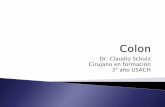 Dr. Claudio Schulz Cirujano en formación 3º año USACHecaths1.s3.amazonaws.com/tecnicasquirurgicas1/1016083689.Cirugiade... · Colectomía derecha ... inferior Arcadas –vasos