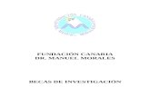ANEXO I - fundaciondoctormanuelmorales.org€¦  · Web view(Anexo III) y certificado académico que incluya los suspensos obtenidos y convocatorias no presentadas. 4.-Certificado