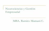 Neurociencias y Gestión Empresarial MBA. Ramiro Mamani C. · Después de un número de respuestas que pueden variar ... (Belbin) Roles del Equipo de Trabajo Roles: surgen del estudio
