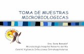 TOMA DE MUESTRAS MICROBIOLOGICAS · 2015-08-17 · REQUISITOS DE UNA BUENA MUESTRA Representativa del sitio de la infección Cantidad suficiente, en el momento adecuado. Técnica