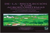 DE LA RECOLECCIÓN A LOS AGROECOSISTEMASsii.ecosur.mx/Content/ProductosActividades/archivos/25562... · 2018-12-06 · DE LA RECOLECCIÓN A LOS AGROECOSISTEMAS SOBERANÍA ALIMENTARIA