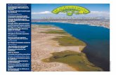 Periodismo para Elevar la Conciencia EcológicaDe ahí trajimos a estas páginas algo de nuestro aprendizaje y un foto reportaje sobre los servicios ambientales de los manglares, ecosistema