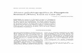 Alcance paleobiogeografico de Piazopteris branneri (White) Lorch … · 2018-11-17 · mrr: CIENCIAS DE LA TIERRA Y DEL ESPACIO 20/ 1992 se explic6 mediante dos hip6tesis altema.