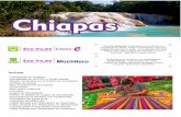 CHIAPAS · 2018-03-10 · visitaremos Misol-Ha y por la noche llegaremos a Palenque DÍA 6 Visitaremos Yaxchilan y bonampak donde un historiador nos mostrará la grandeza del mundo