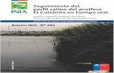 Instituto de Investigaciones Agropecuarias (INIA ...biblioteca.inia.cl/medios/biblioteca/boletines/NR41558.pdfInstituto de Investigaciones Agropecuarias (INIA) MINISTERIO DE AGRICULTURA3