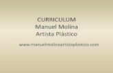 CURRICULUM Manuel Molina Artista Plástico - Ateneo de Madrid · 2020-02-10 · Molina es un artista que vive entre las contradicciones de la luz y de la sombra, de los elementos