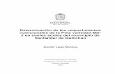 Determinación de los requerimientos nutricionales …...II Determinación de los requerimientos nutricionales de la Piña variedad MD-2 en suelos ácidos del municipio de Santander