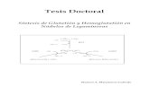 Tesis Doctoral - Digital CSICdigital.csic.es/bitstream/10261/3413/1/2001-TesisManuelMatamoros.pdf · pasados,en el laboratorio y en Turco 11.A Iñaki,ahoracomo Dr.Itu rbe-Ormaetxe,