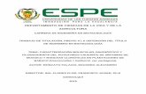 DEPARTAMENTO DE CIENCIAS DE LA VIDA Y DE LA AGRICULTURArepositorio.espe.edu.ec/bitstream/21000/15303/1/T-ESPE-040543.pdf · Estructura terciaria de la proteína de cubierta (CP) de