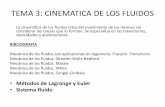TEMA 3: CINEMATICA DE LOS FLUIDOS · 2019-11-19 · TEMA 3: CINEMATICA DE LOS FLUIDOS La cinemática de los fluidos trata del movimiento de los mismos sin considerar las causas que