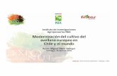 Instituto de Investigaciones Agropecuarias INIA ...exponut.cl/assets/ellena2016.pdf · distancias de plantación más adecuados y eficaces desde elpunto devistaagronómico y económico,