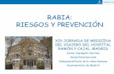 RABIA: RIESGOS Y PREVENCIÓN · 2016-06-24 · de efectuar profilaxis antitetánica, administrar antibióticos para controlar infecciones bacterianas. • La sutura primaria de la