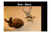 Evo - Devo · escuelas morfológicas (como la morfometría) está interesada en la ... con Raven Pro v1.3 (Cornell University) Análisis estadísticos no paramétricos ... b. argentina