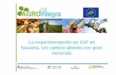 La experimentación en GIP en Navarra. Un camino abierto con … · 2018-03-09 · Variedades: riego Tolerancia/resistencia Favorecer auxiliares Control biotecno lógico Estrategias