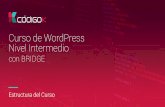 Curso de WordPress Nivel Intermedio ·  Jesús de la Plaza Diseñador y desarrollador freelance desde el año 2000. Desarrollador web en Envato marketplaces: