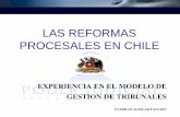 LAS REFORMAS PROCESALES EN CHILEaprajud.cl/articulo-archivo/ponpaaguilar.pdf · 2015-11-24 · Reformas en Chile • Reforma Procesal Penal 2000 – 2015 91 Juzgados Garantía en