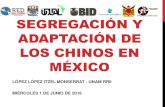 SEGREGACIÓN Y ADAPTACIÓN DE LOS CHINOS EN MÉXICO · 2016-07-01 · ataques xenofóbicos más trágicos en la historia del país. La segregación de los Chinos en México, fue producto