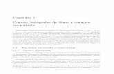 Capítulo1 Curvas,integralesdelíneaycampos vectorialessgpwe.izt.uam.mx/files/users/uami/hect/Calculo_de_Varias... · 2017-01-16 · Capítulo1 Curvas,integralesdelíneaycampos vectoriales