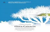 CATÁLOGO DE Flora Canaria · 2017-10-06 · CENTRO AMBIENTAL LA TAHONILLA Vivero de Flora Autóctona CATÁLOGO DE Flora Canaria Selección de las principales especies de ﬂora canaria