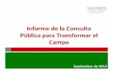 Informe de la Consulta Pública para Transformar el …...Pecuario 11 de julio 23 de julio Tepic, Nay. Guadalajara, Jal. 8 Participantes y propuestas Foro Participantes Propuestas