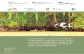 Insumos técnicos para fortalecer las concesiones …...Insumos técnicos para fortalecer las concesiones de manglar en Ecuador a través de Socio Bosque: combinando técnicas de valoración